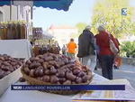 fête de la chataigne saint pons 2008